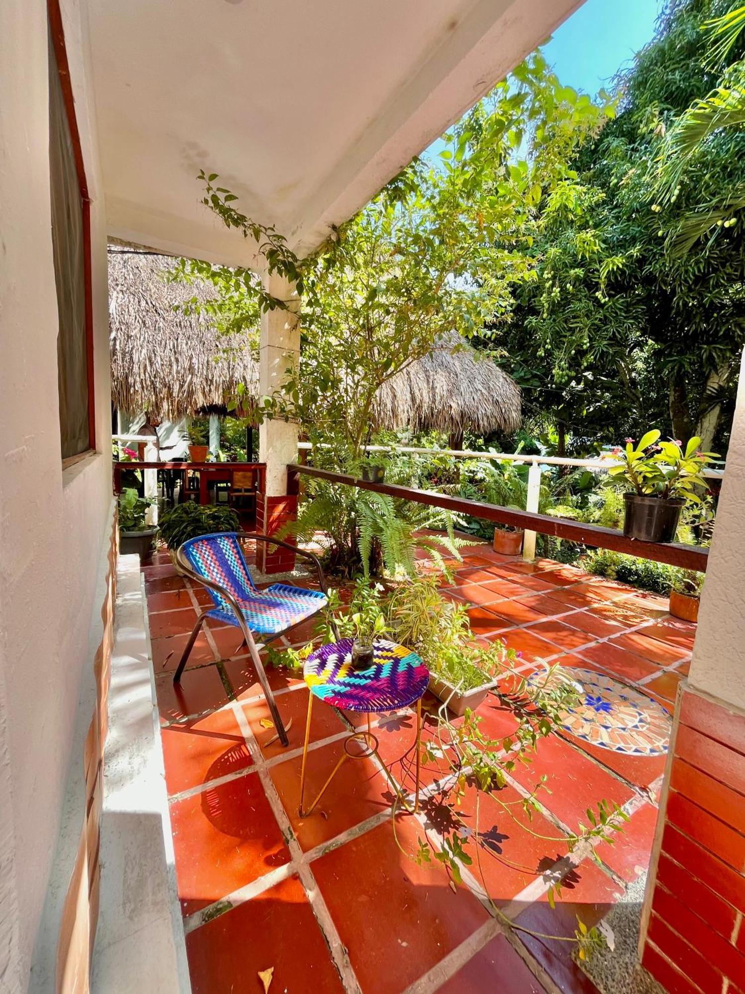Santuario Tayrona Hostel Calabazo  エクステリア 写真