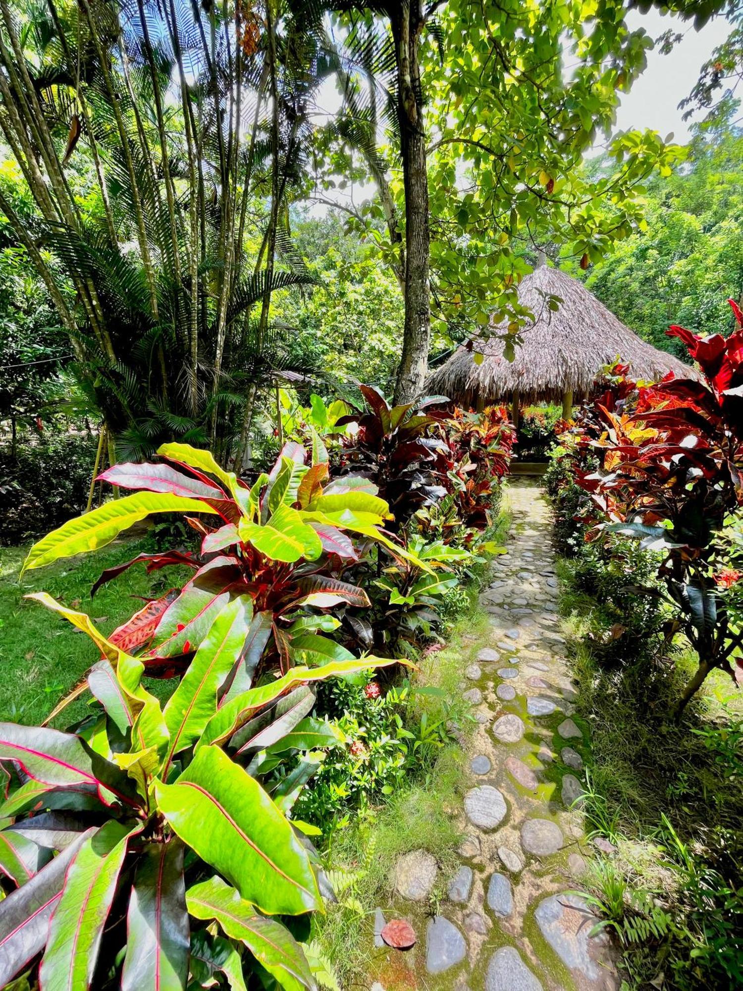Santuario Tayrona Hostel Calabazo  エクステリア 写真