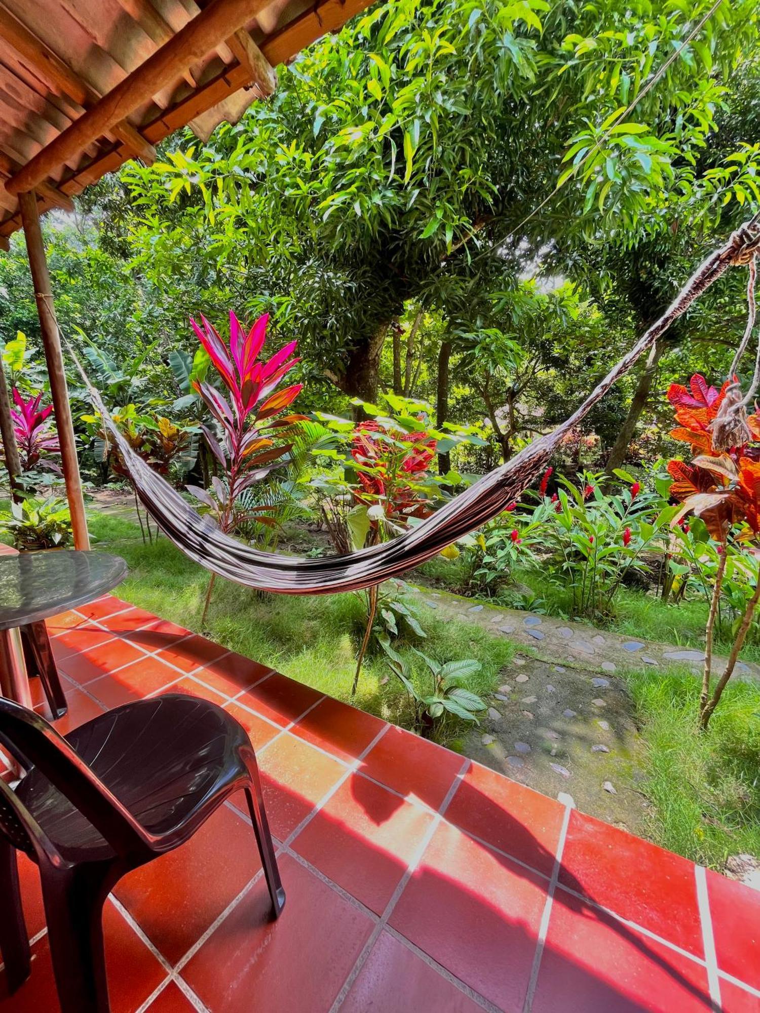 Santuario Tayrona Hostel Calabazo  エクステリア 写真