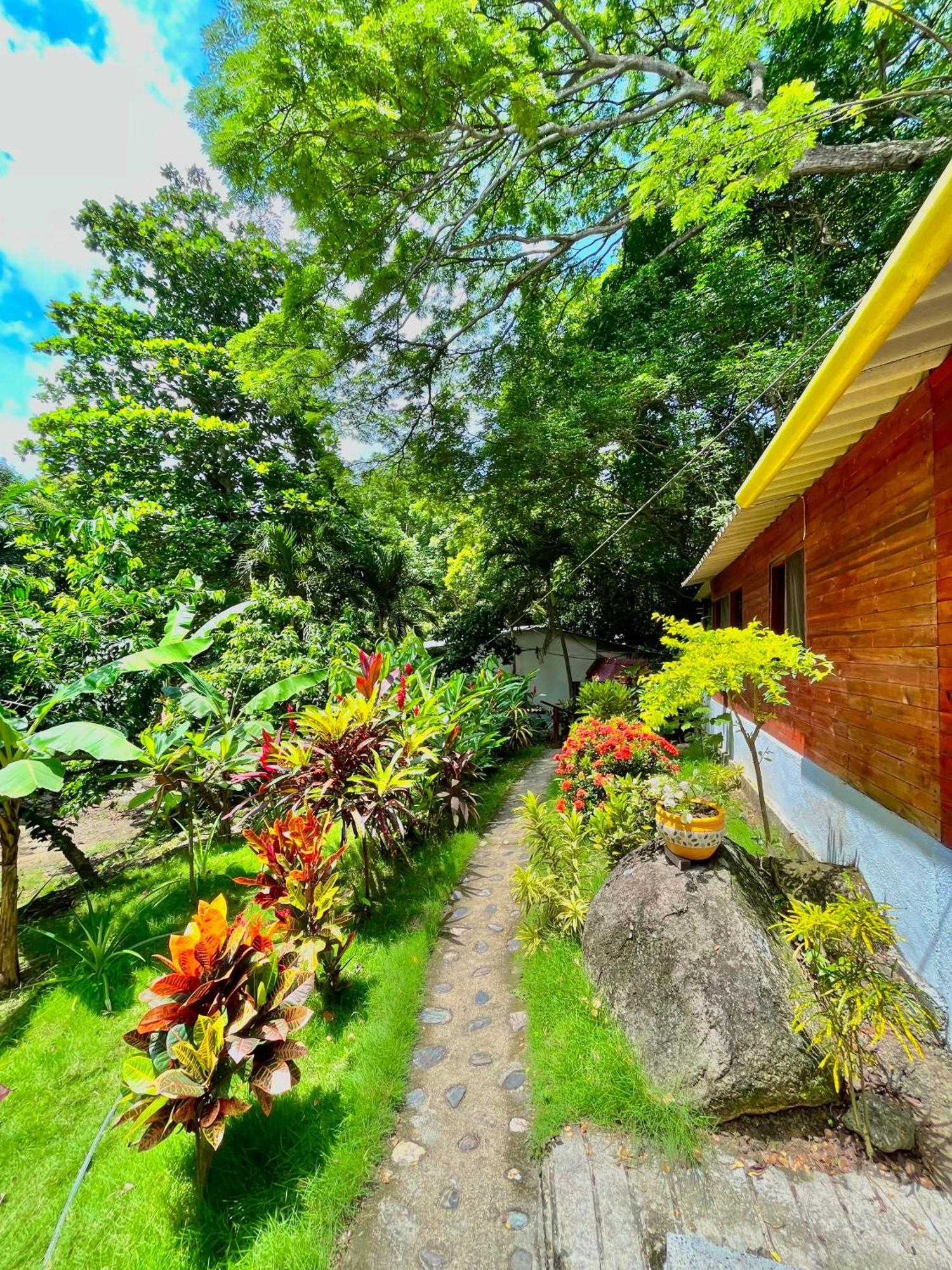 Santuario Tayrona Hostel Calabazo  エクステリア 写真